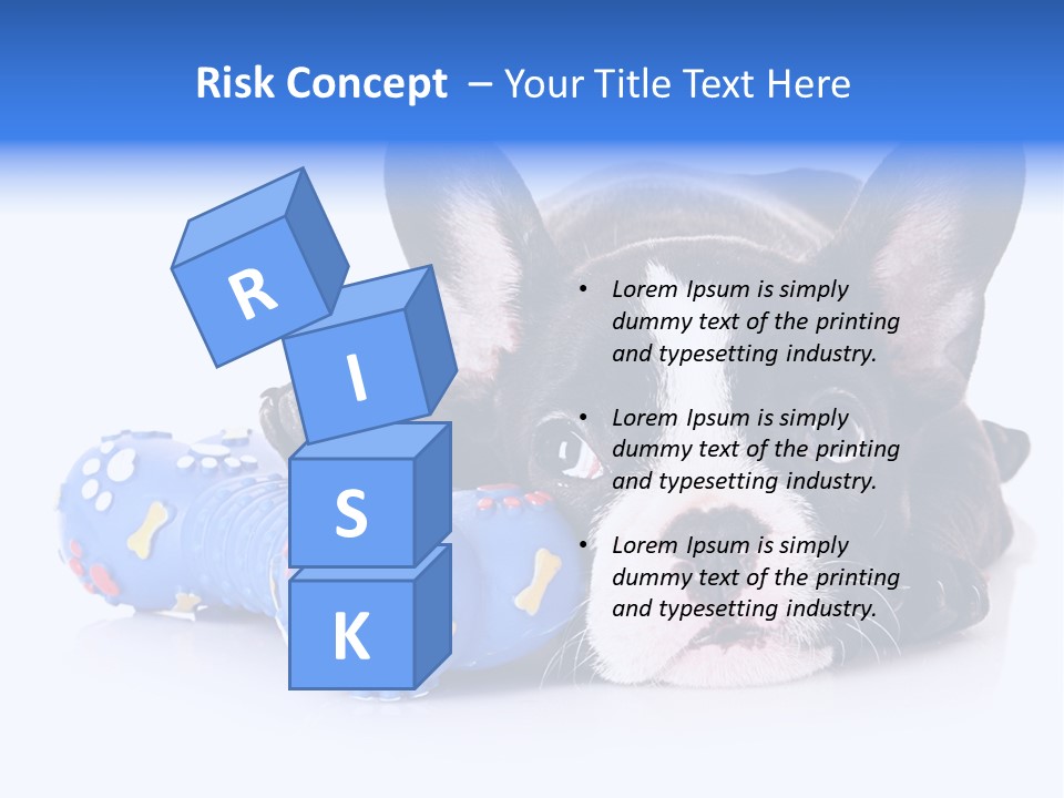 A Black And White Dog Laying On Top Of A Blue Toy PowerPoint Template