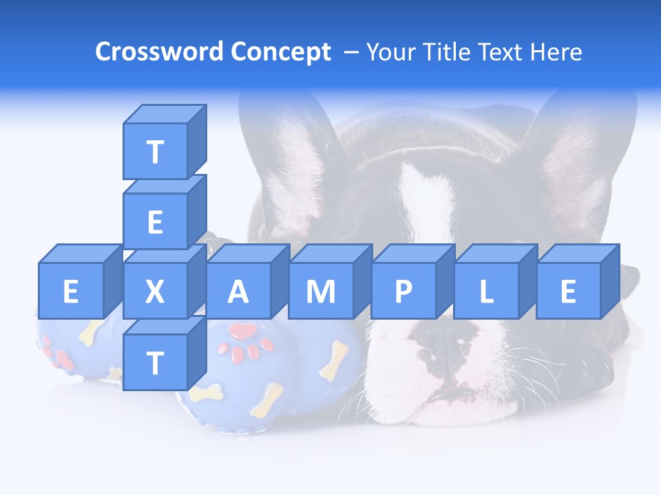 A Black And White Dog Laying On Top Of A Blue Toy PowerPoint Template