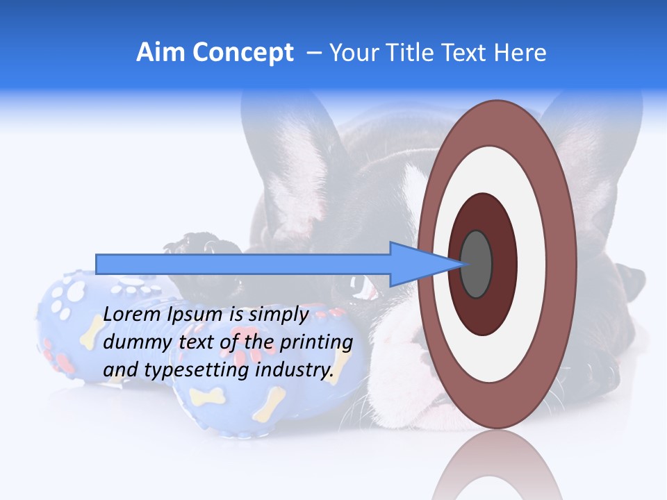 A Black And White Dog Laying On Top Of A Blue Toy PowerPoint Template