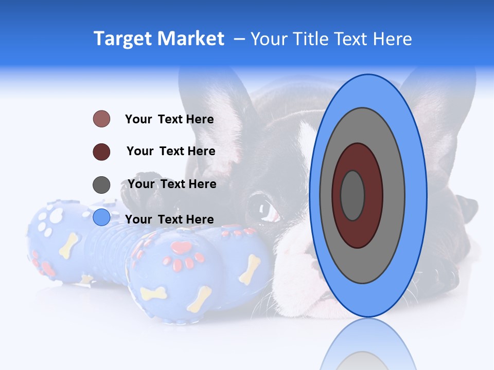 A Black And White Dog Laying On Top Of A Blue Toy PowerPoint Template