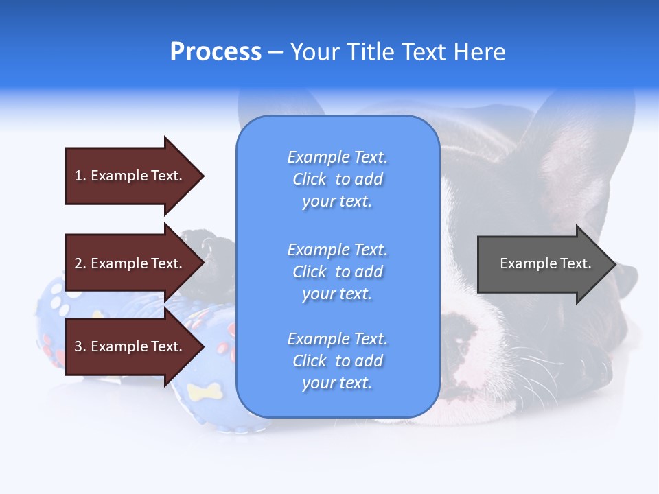 A Black And White Dog Laying On Top Of A Blue Toy PowerPoint Template