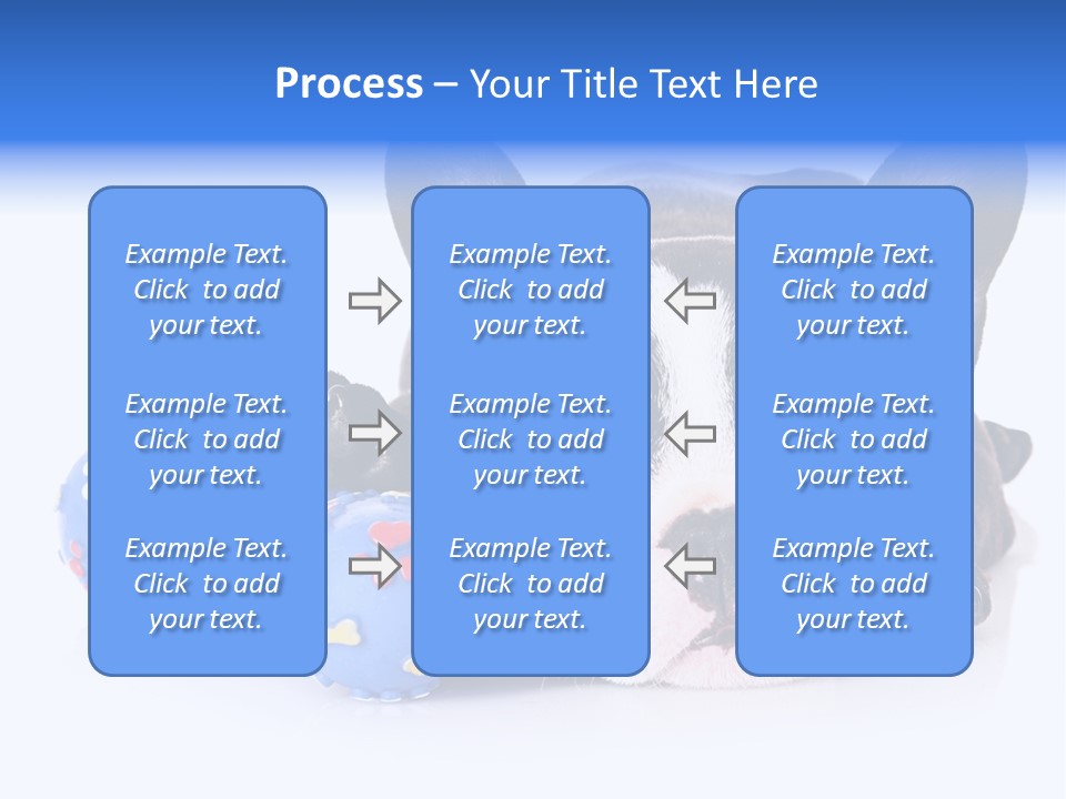 A Black And White Dog Laying On Top Of A Blue Toy PowerPoint Template