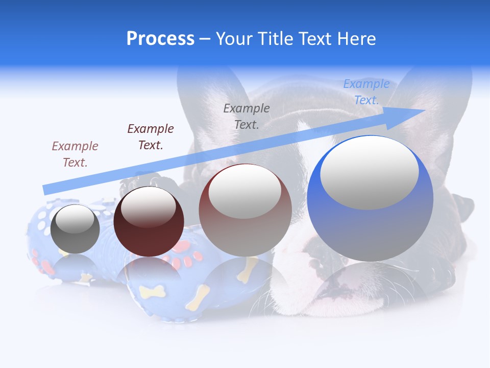 A Black And White Dog Laying On Top Of A Blue Toy PowerPoint Template