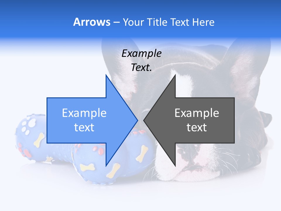 A Black And White Dog Laying On Top Of A Blue Toy PowerPoint Template