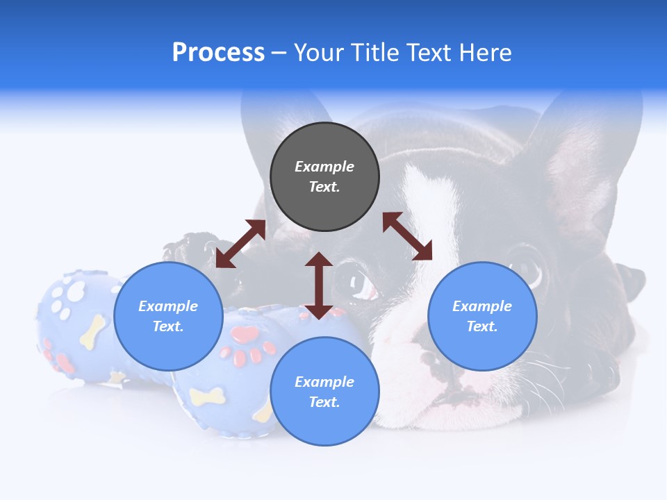 A Black And White Dog Laying On Top Of A Blue Toy PowerPoint Template