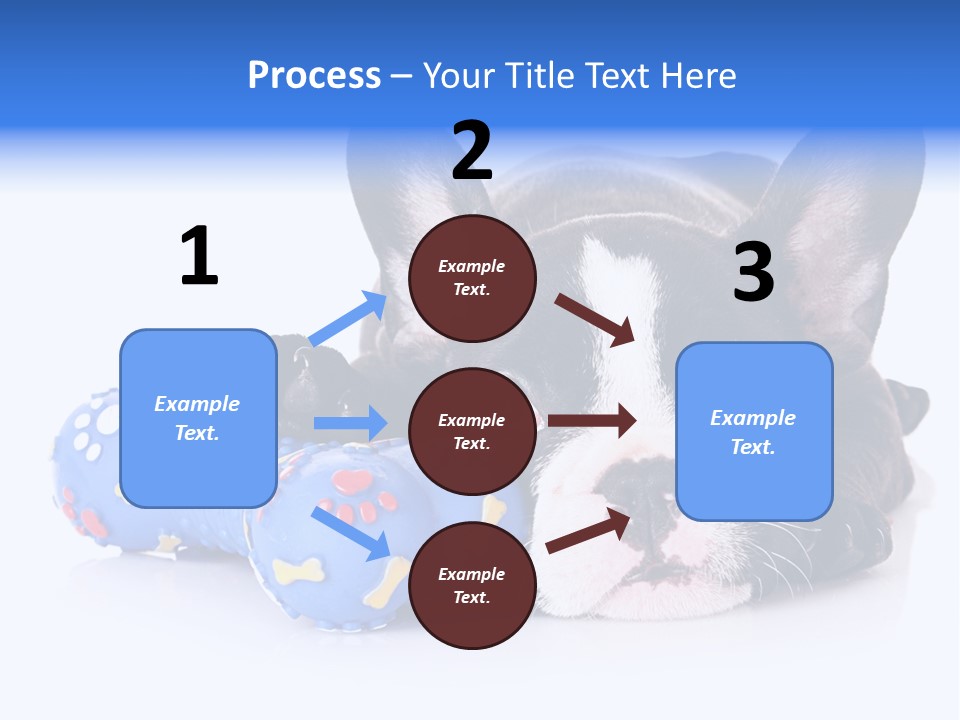 A Black And White Dog Laying On Top Of A Blue Toy PowerPoint Template