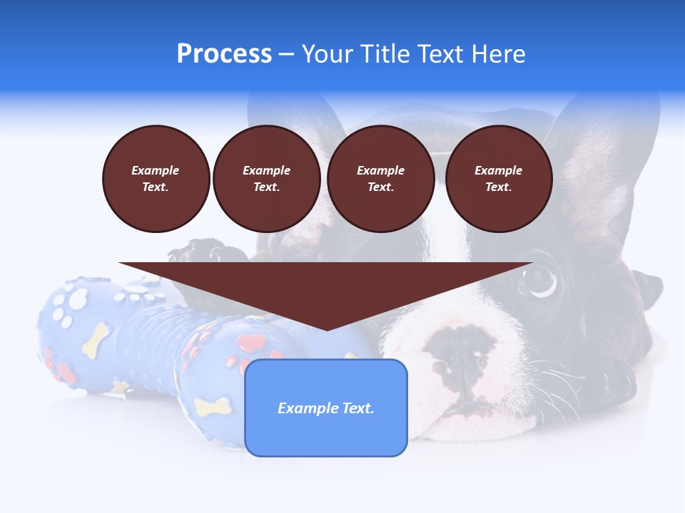 A Black And White Dog Laying On Top Of A Blue Toy PowerPoint Template