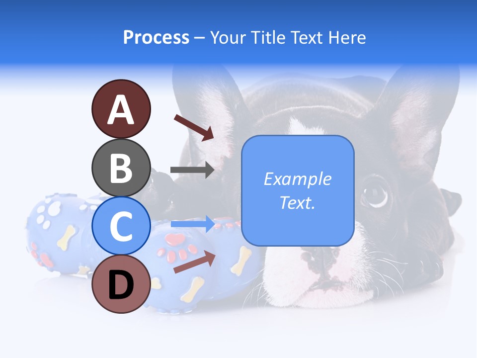 A Black And White Dog Laying On Top Of A Blue Toy PowerPoint Template