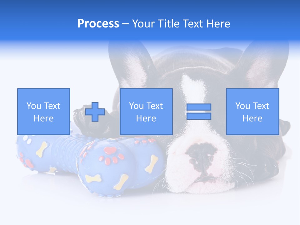 A Black And White Dog Laying On Top Of A Blue Toy PowerPoint Template