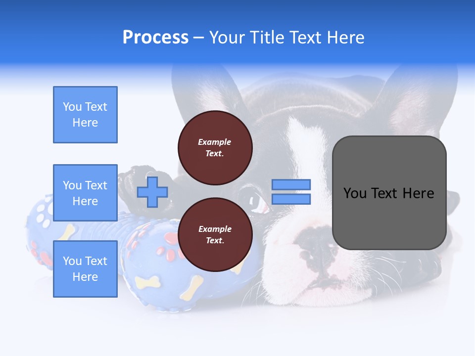 A Black And White Dog Laying On Top Of A Blue Toy PowerPoint Template