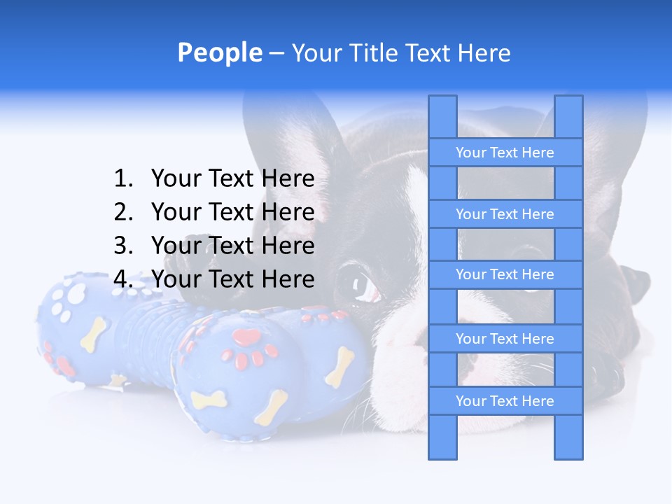 A Black And White Dog Laying On Top Of A Blue Toy PowerPoint Template