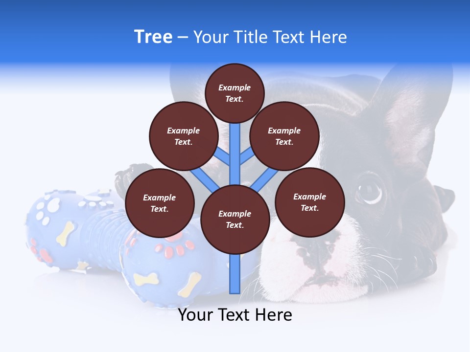 A Black And White Dog Laying On Top Of A Blue Toy PowerPoint Template