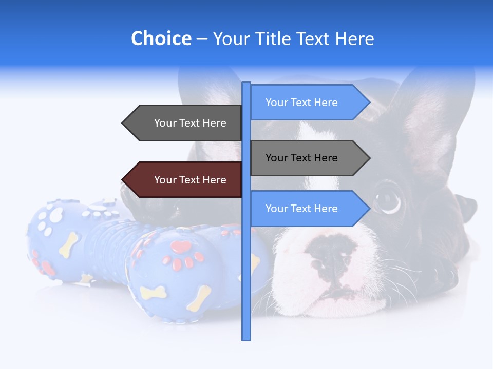 A Black And White Dog Laying On Top Of A Blue Toy PowerPoint Template