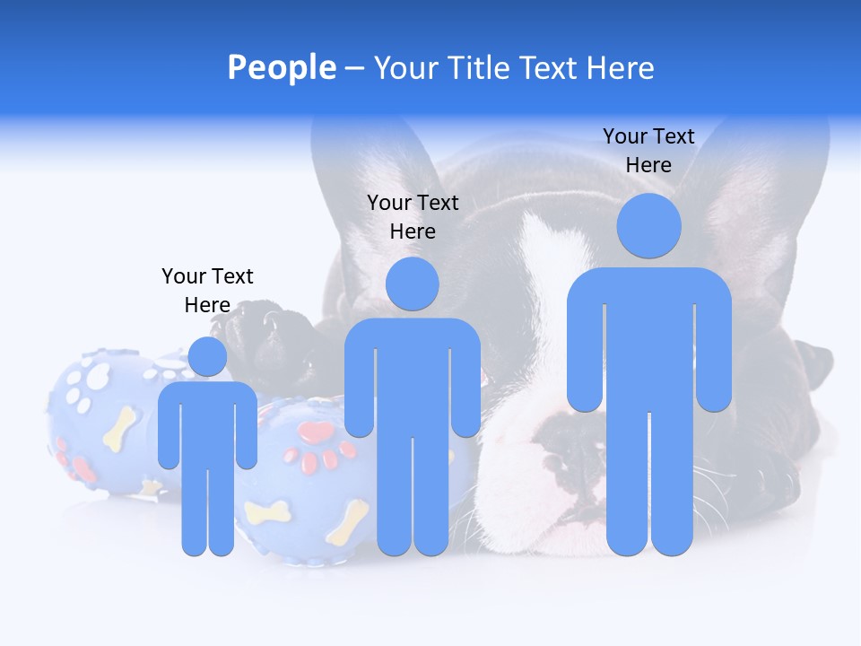 A Black And White Dog Laying On Top Of A Blue Toy PowerPoint Template