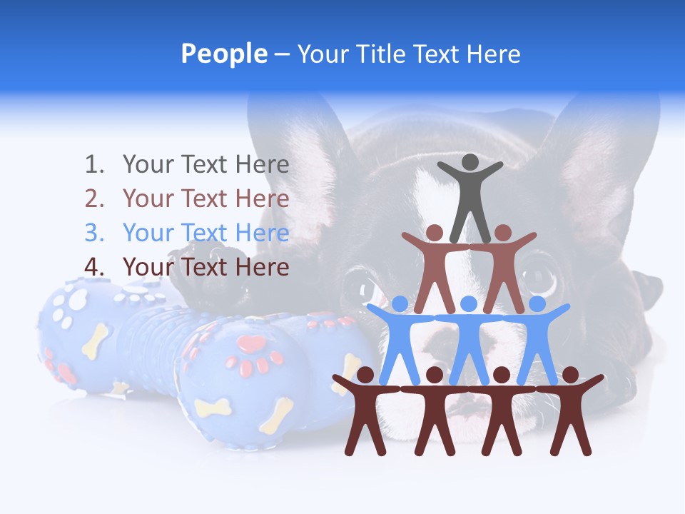 A Black And White Dog Laying On Top Of A Blue Toy PowerPoint Template