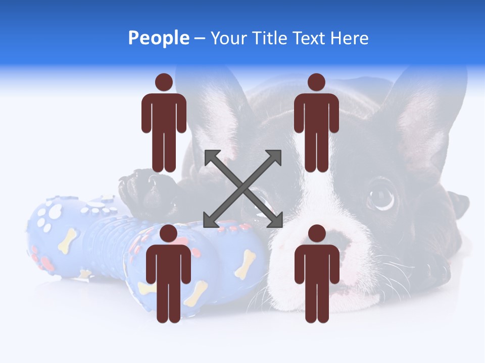 A Black And White Dog Laying On Top Of A Blue Toy PowerPoint Template