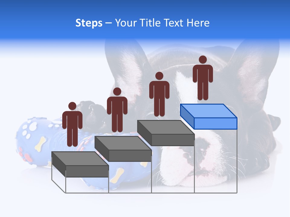 A Black And White Dog Laying On Top Of A Blue Toy PowerPoint Template