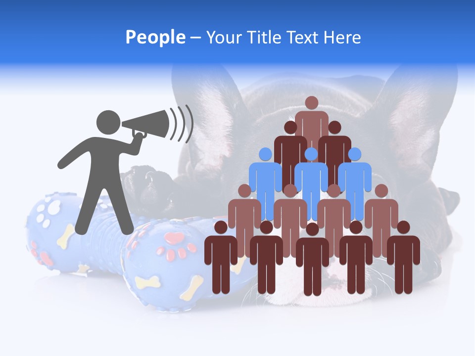 A Black And White Dog Laying On Top Of A Blue Toy PowerPoint Template