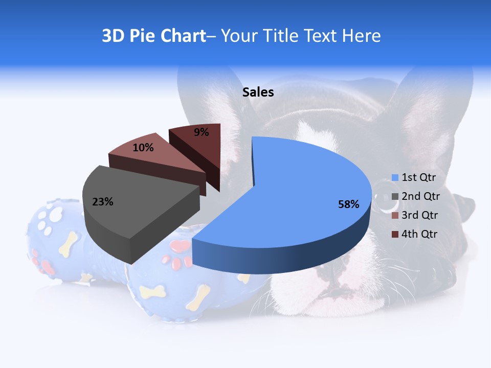 A Black And White Dog Laying On Top Of A Blue Toy PowerPoint Template