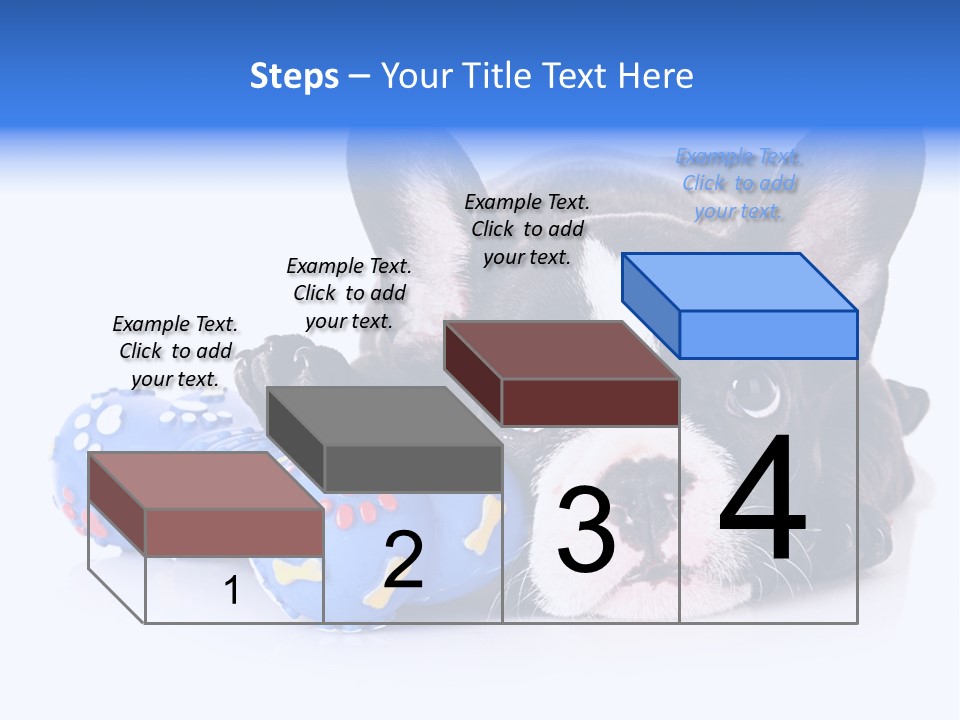 A Black And White Dog Laying On Top Of A Blue Toy PowerPoint Template