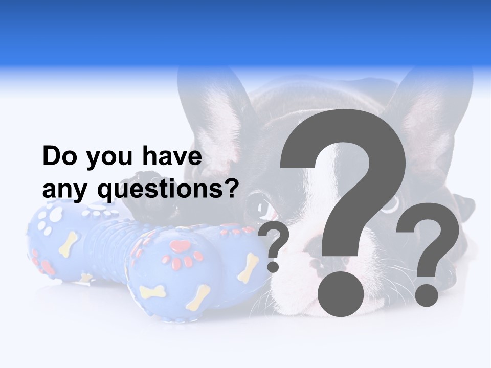 A Black And White Dog Laying On Top Of A Blue Toy PowerPoint Template