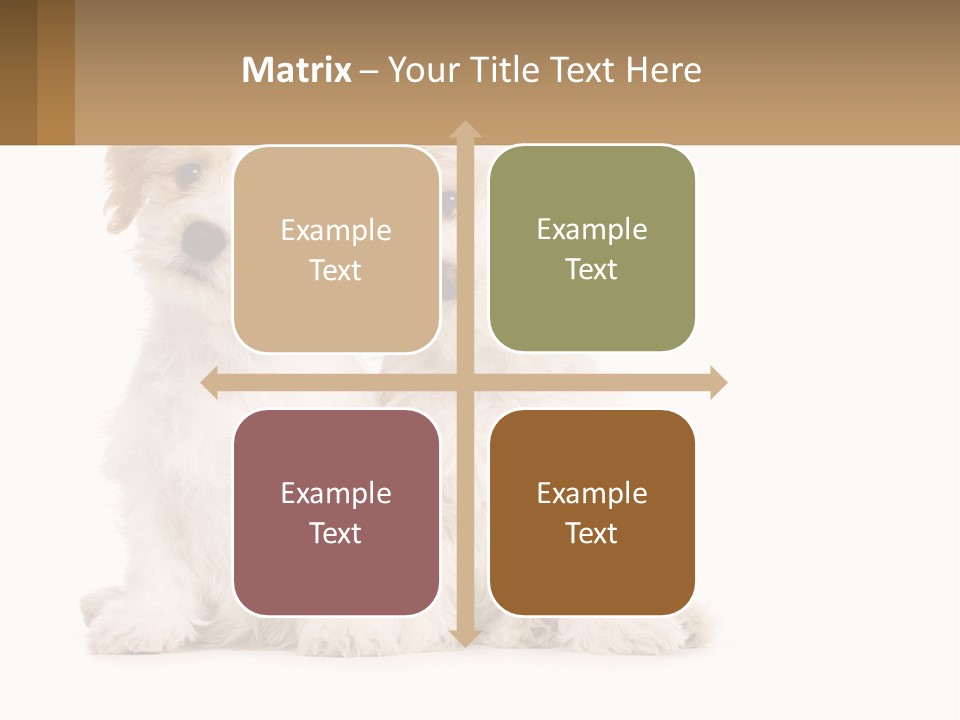Two Small White Dogs Sitting Next To Each Other PowerPoint Template
