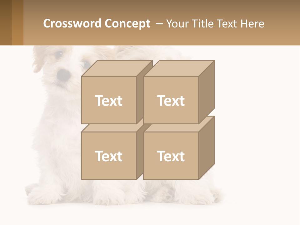 Two Small White Dogs Sitting Next To Each Other PowerPoint Template