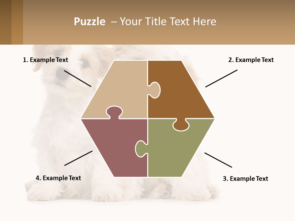 Two Small White Dogs Sitting Next To Each Other PowerPoint Template