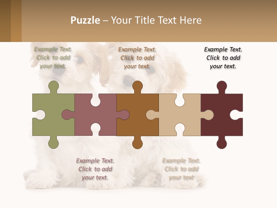 Two Small White Dogs Sitting Next To Each Other PowerPoint Template