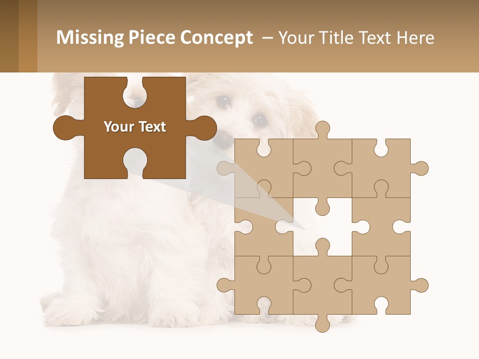 Two Small White Dogs Sitting Next To Each Other PowerPoint Template