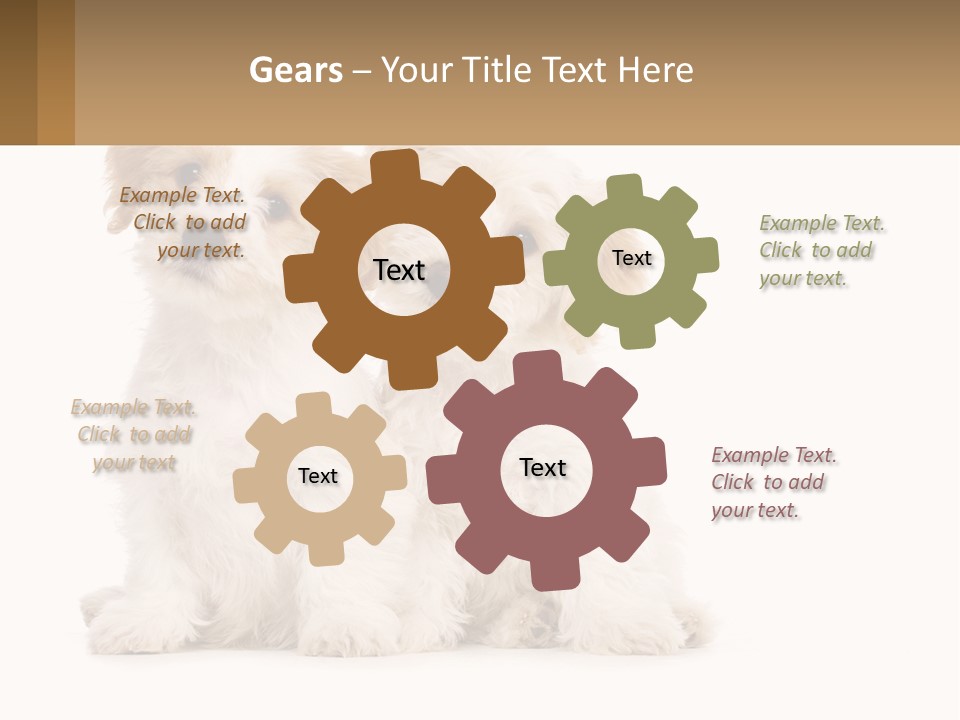 Two Small White Dogs Sitting Next To Each Other PowerPoint Template
