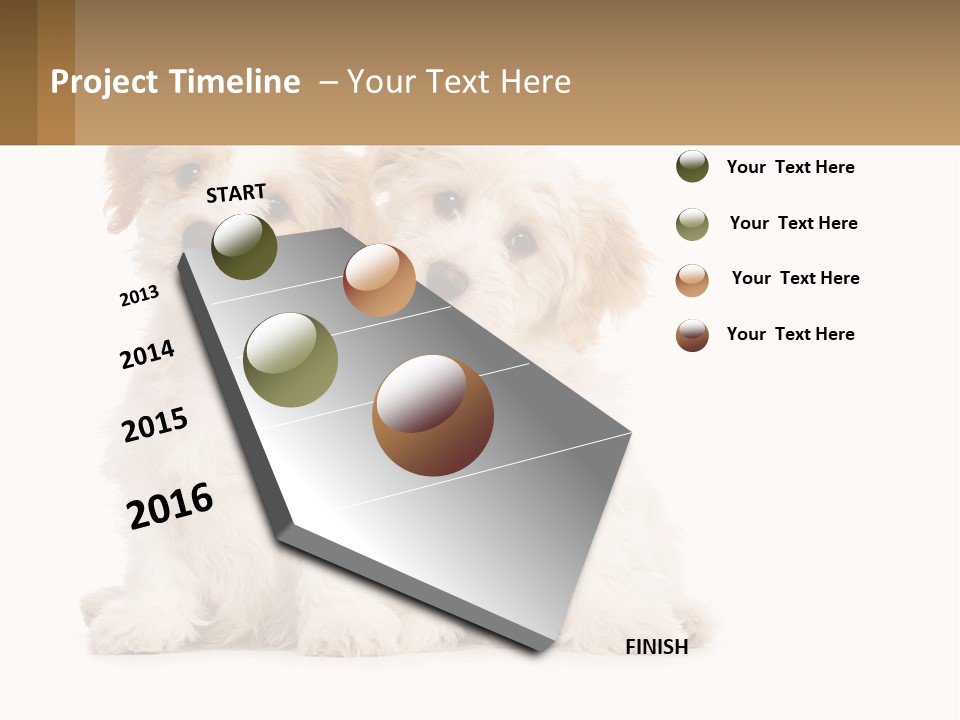Two Small White Dogs Sitting Next To Each Other PowerPoint Template