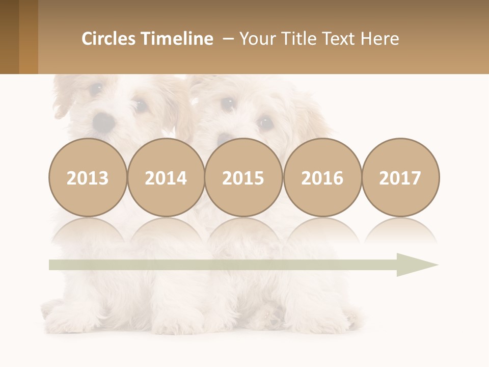 Two Small White Dogs Sitting Next To Each Other PowerPoint Template