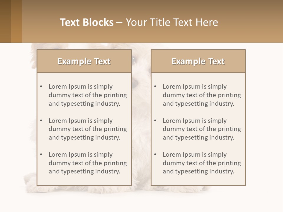 Two Small White Dogs Sitting Next To Each Other PowerPoint Template