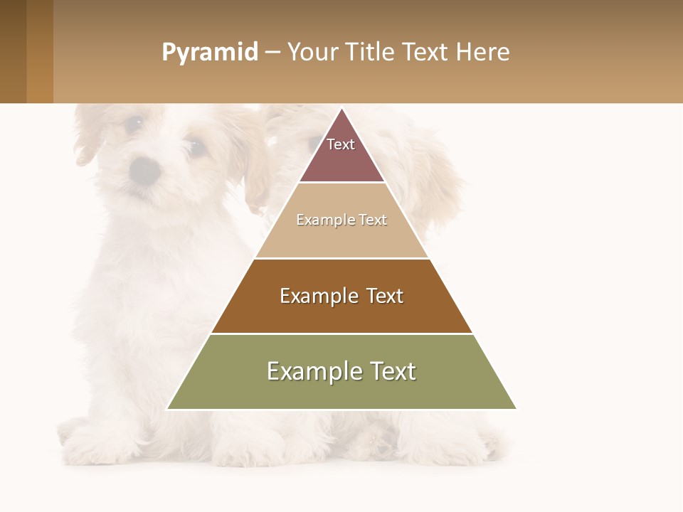 Two Small White Dogs Sitting Next To Each Other PowerPoint Template