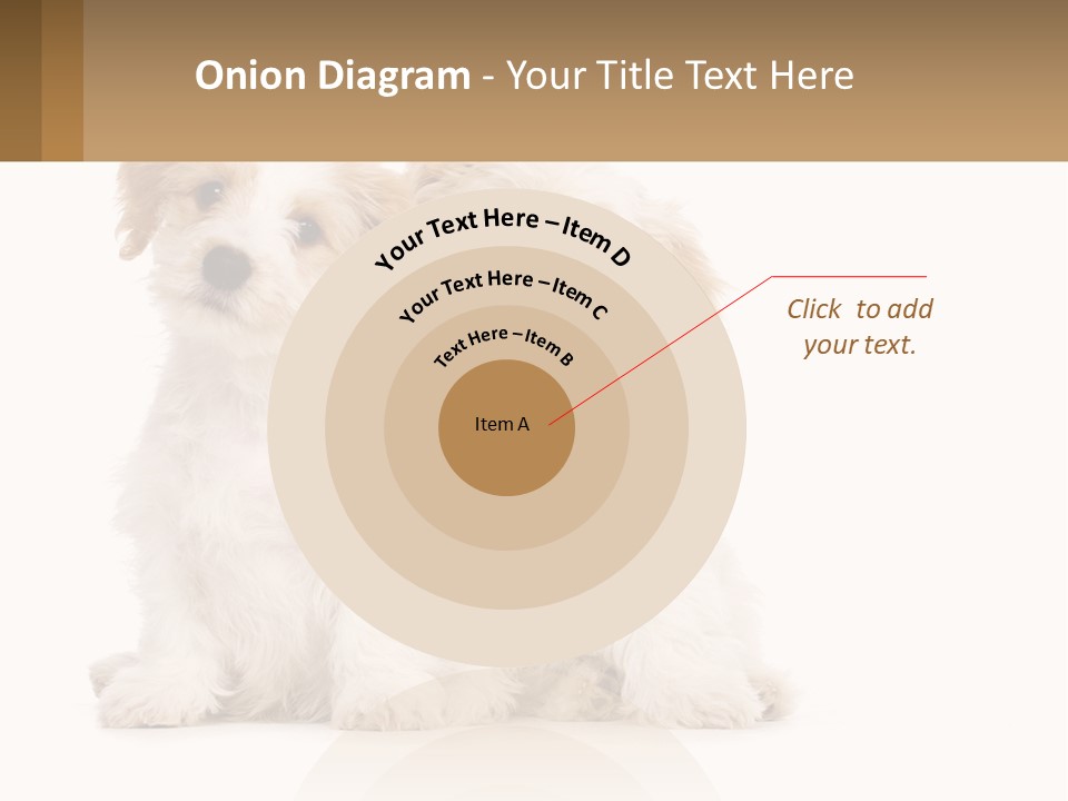 Two Small White Dogs Sitting Next To Each Other PowerPoint Template