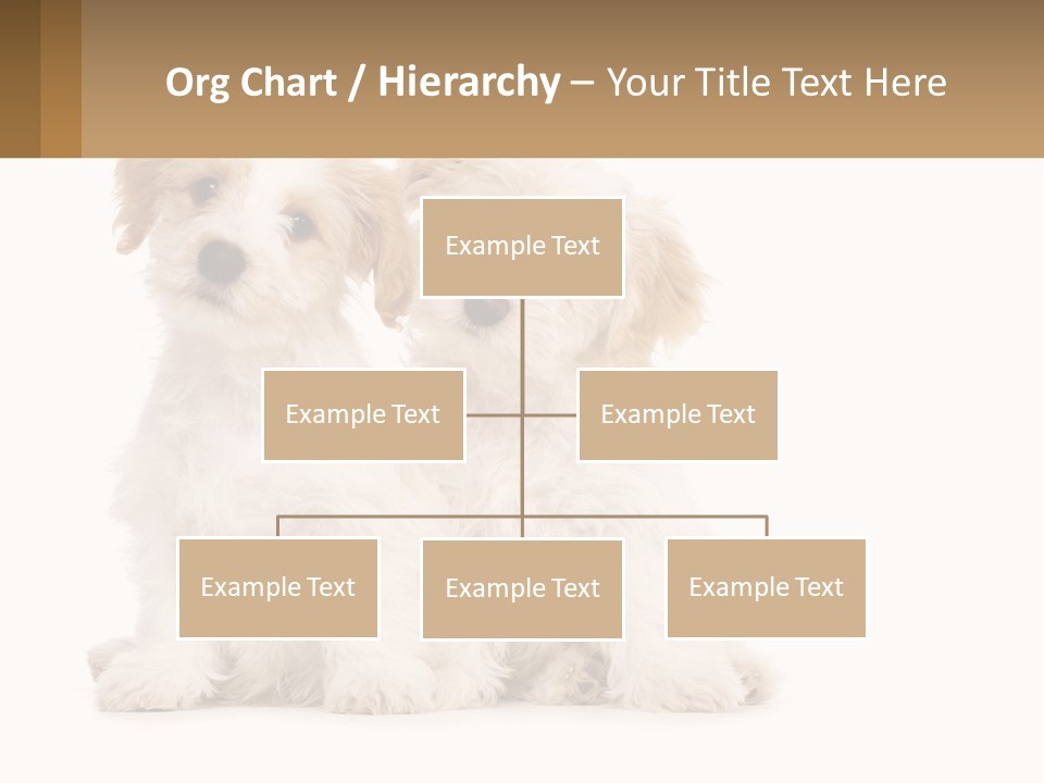 Two Small White Dogs Sitting Next To Each Other PowerPoint Template