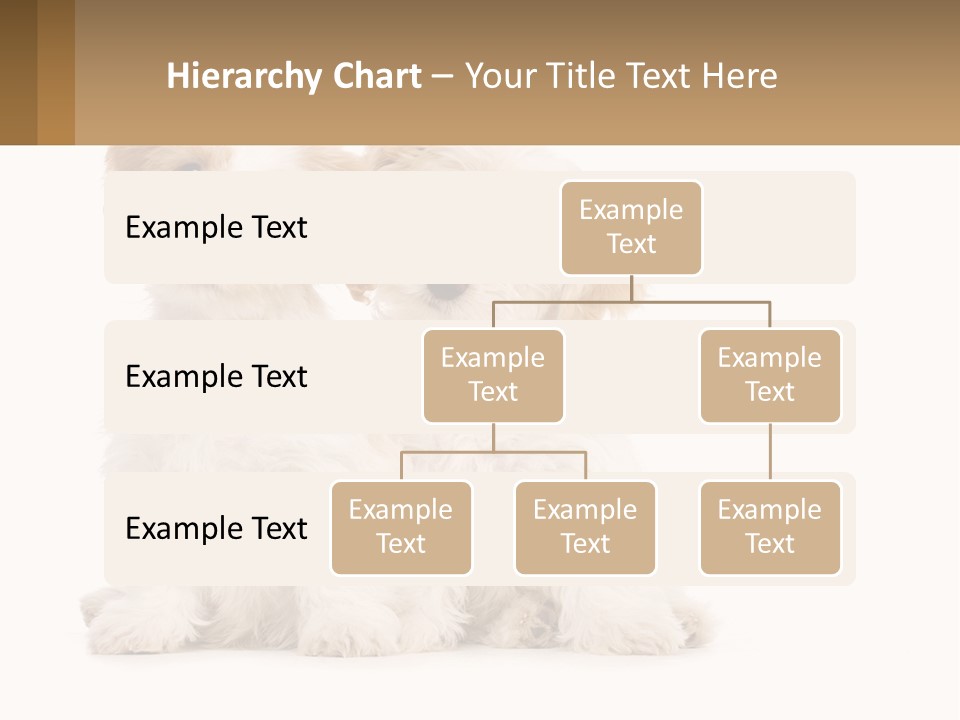 Two Small White Dogs Sitting Next To Each Other PowerPoint Template