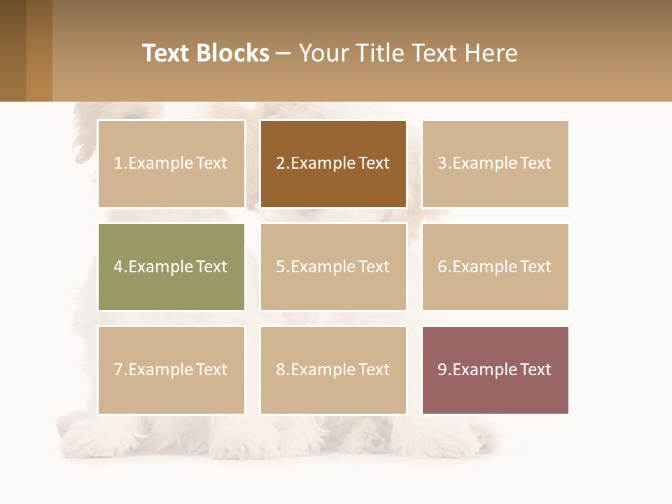 Two Small White Dogs Sitting Next To Each Other PowerPoint Template