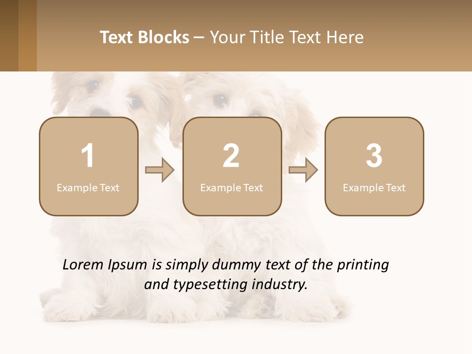 Two Small White Dogs Sitting Next To Each Other PowerPoint Template