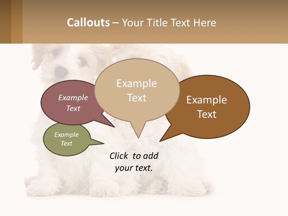 Two Small White Dogs Sitting Next To Each Other PowerPoint Template