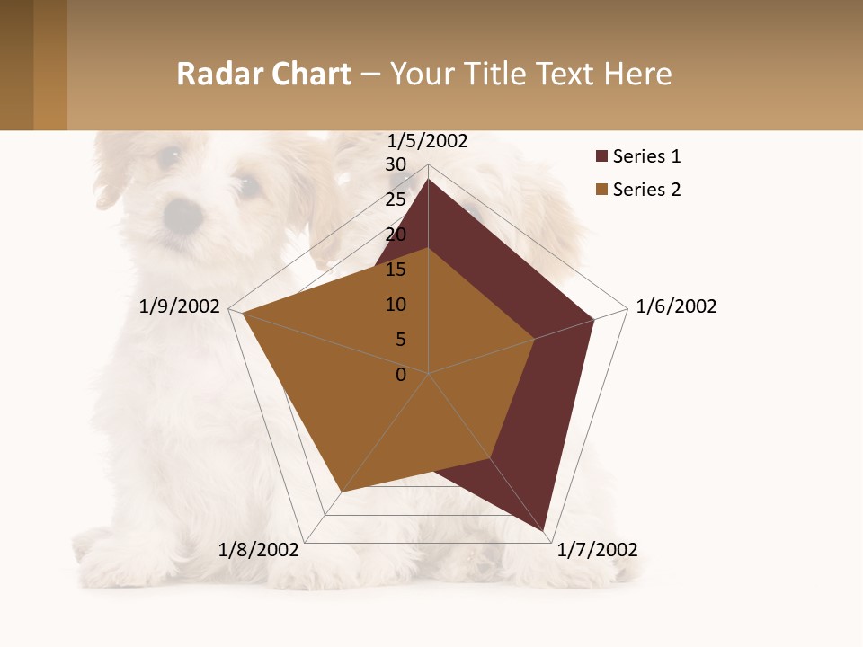 Two Small White Dogs Sitting Next To Each Other PowerPoint Template
