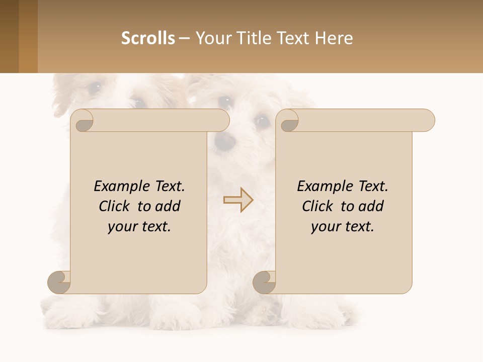 Two Small White Dogs Sitting Next To Each Other PowerPoint Template