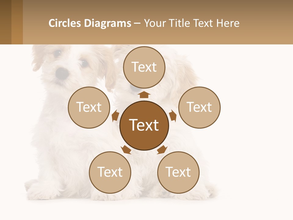 Two Small White Dogs Sitting Next To Each Other PowerPoint Template