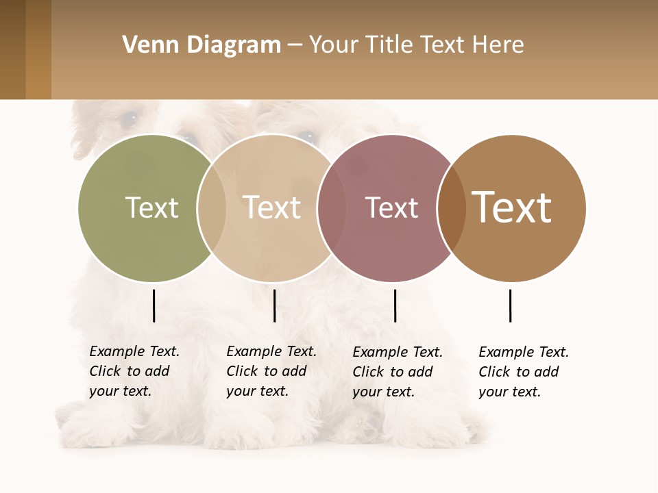 Two Small White Dogs Sitting Next To Each Other PowerPoint Template