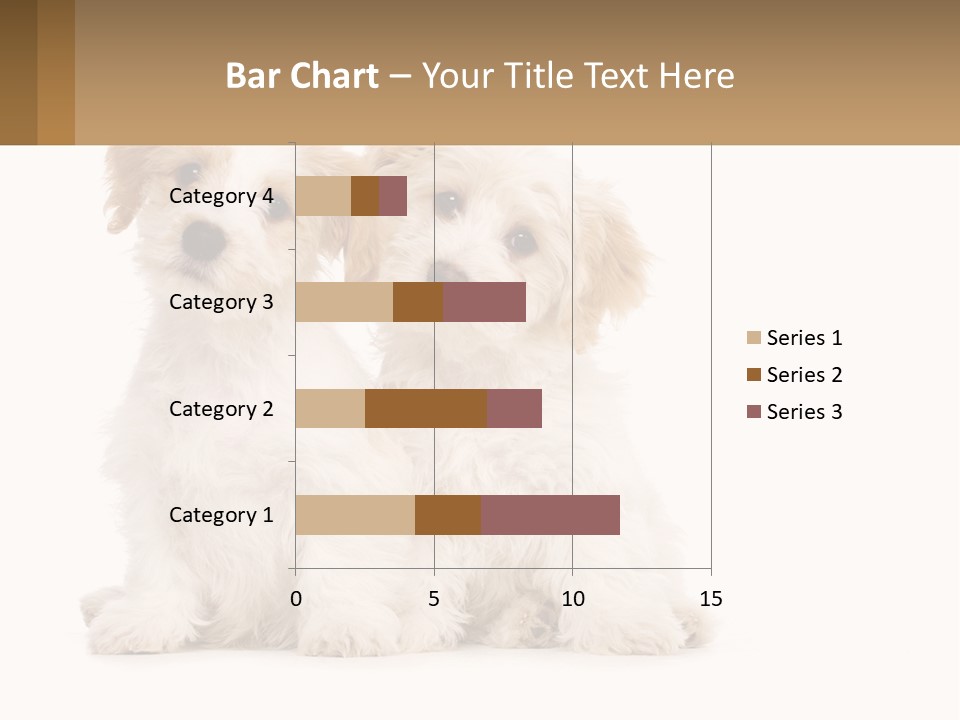 Two Small White Dogs Sitting Next To Each Other PowerPoint Template