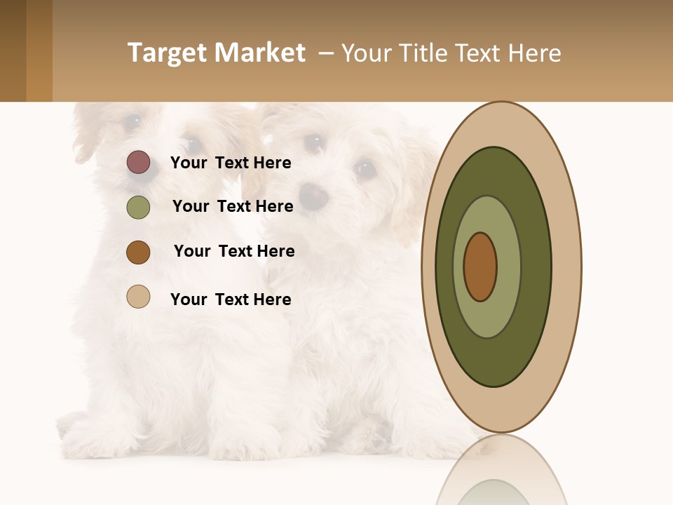 Two Small White Dogs Sitting Next To Each Other PowerPoint Template