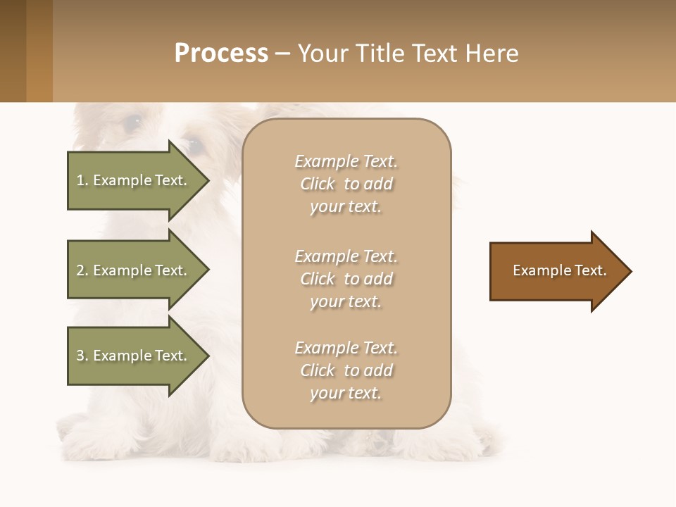 Two Small White Dogs Sitting Next To Each Other PowerPoint Template
