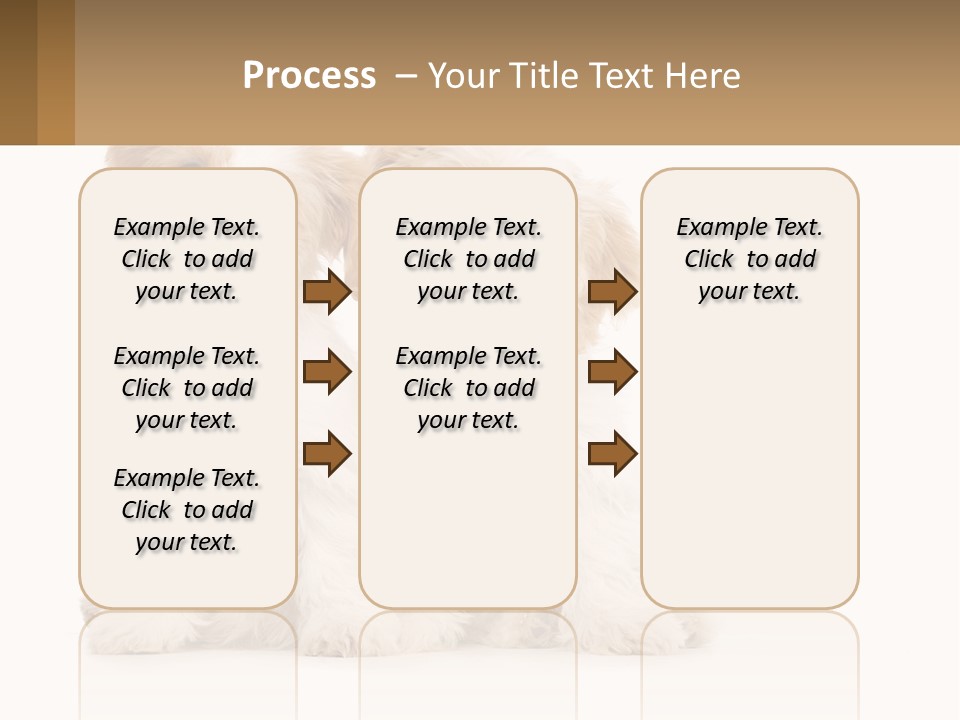 Two Small White Dogs Sitting Next To Each Other PowerPoint Template