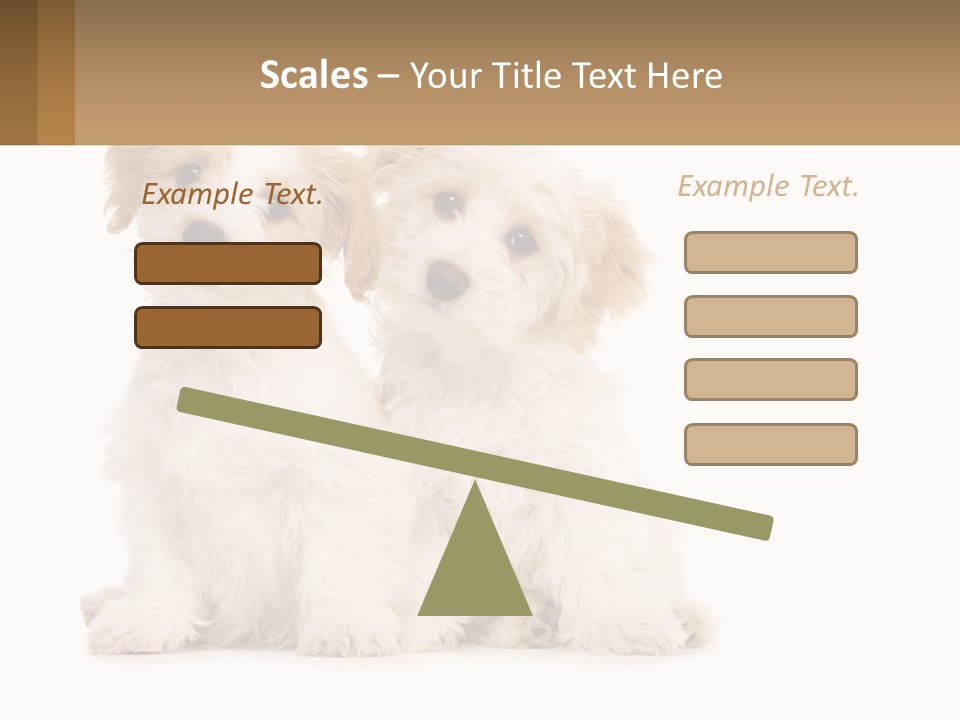 Two Small White Dogs Sitting Next To Each Other PowerPoint Template